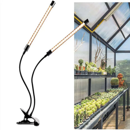 led lamp for plant