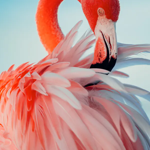 P1.9-2